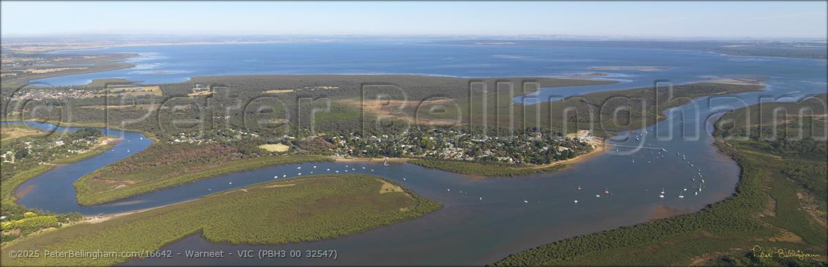 Peter Bellingham Photography Warneet - VIC (PBH3 00 32547)